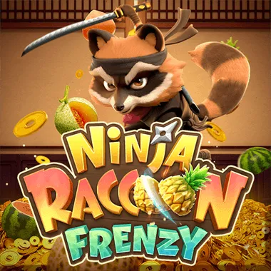 NINJA RACOON FRENZY